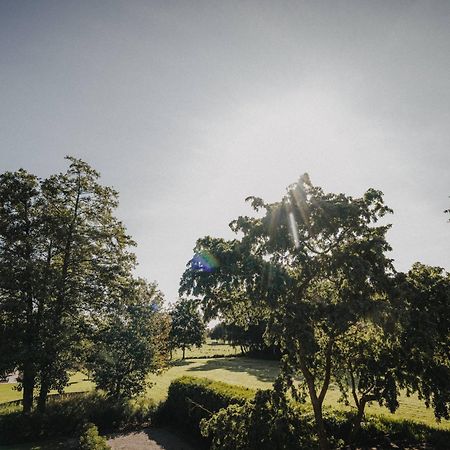 Ferienwohnung Weidenblick Varel Buitenkant foto