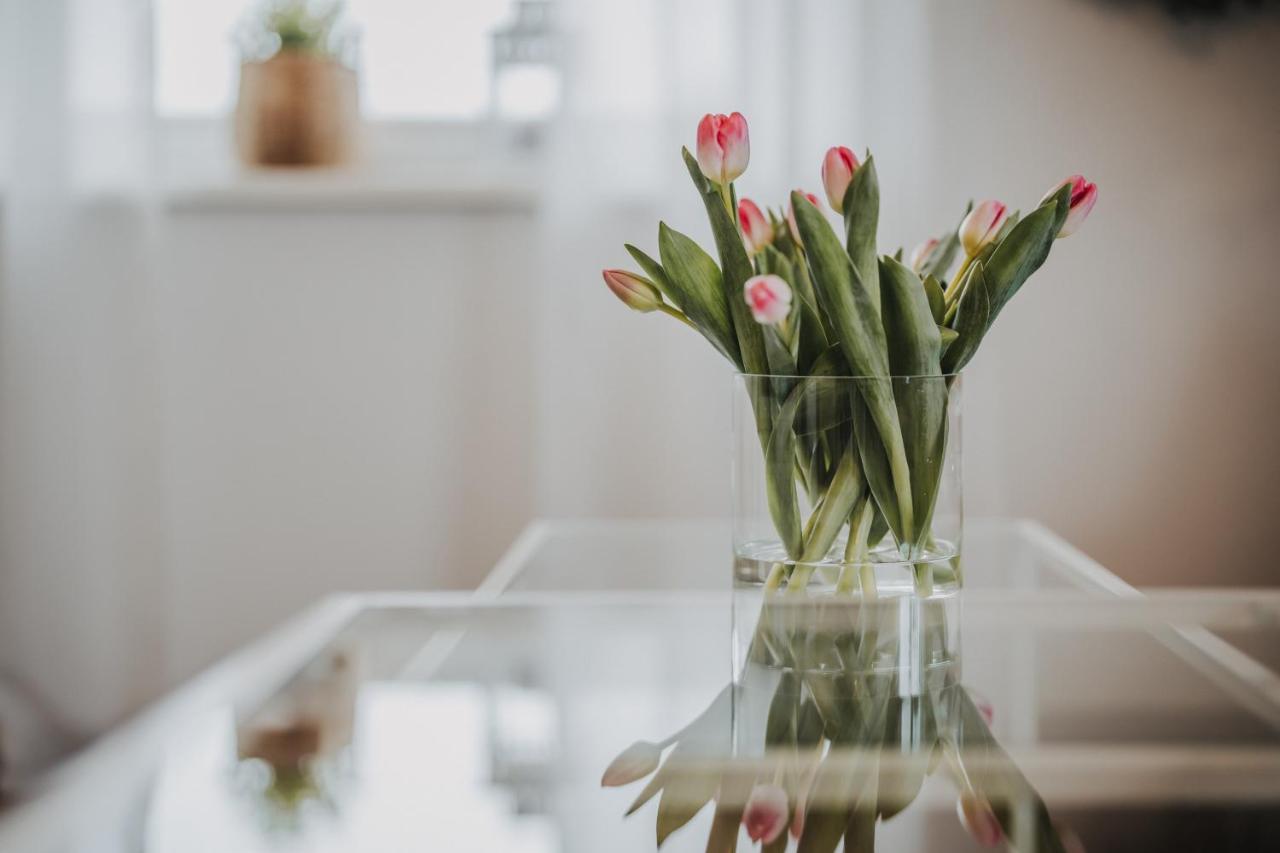 Ferienwohnung Weidenblick Varel Buitenkant foto